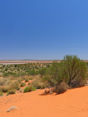 Uluru – Naturwunder & Farbenpracht Australiens