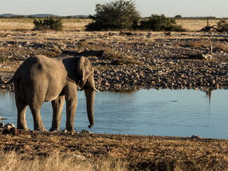 Namibia – Natur pur zwischen Sossusvlei und Etosha