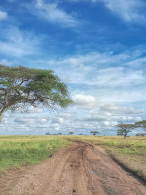 Tansania – Fotoreise zur Großen Migration