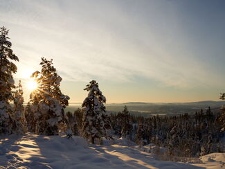 Schweden – Lappland: Sommerreise zur Mitternachtssonne