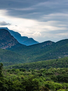 Südafrika & Eswatini – Faszination Berge, Tierwelt und Kultur
