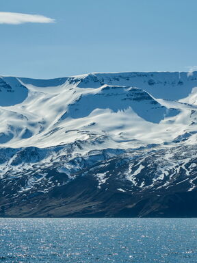 Spitzbergen – Eisbärland und arktische Tierwelt