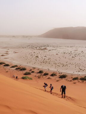 Namibia – Naturerlebnis von Dünen bis Bergen