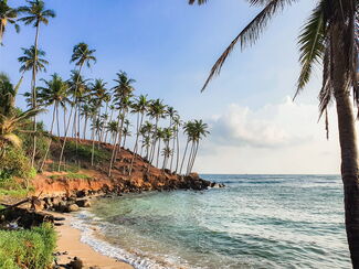 Sri Lanka – Leoparden, Teeplantagen und Küstenflair