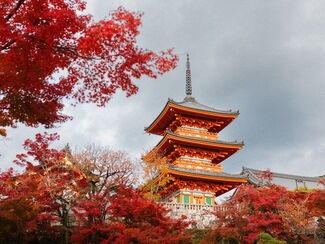 Japan – Tempel, Städte und Natur entlang der Welterbe-Route
