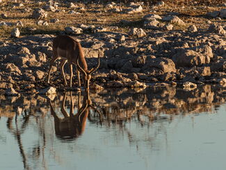 Namibia – Kontraste einer Wildnis