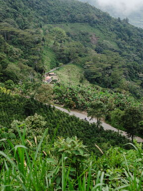 San Agustín – Geheimnisse der monolithischen Kultur