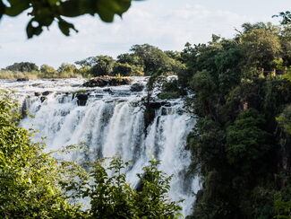 Big Five – Safari durch Botswana, Simbabwe und Südafrika