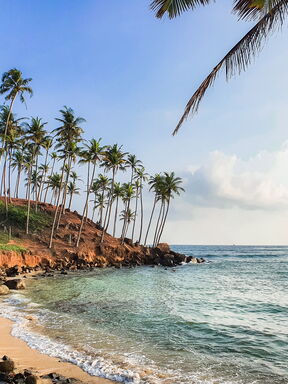Sri Lanka – Leoparden, Teeplantagen und Küstenflair