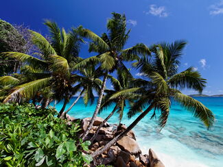 Seychellen – Traumhaftes Inselparadies im Indischen Ozean