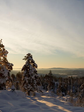 Schweden – Lappland: Sommerreise zur Mitternachtssonne