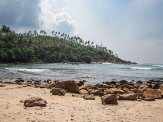 Sri Lanka – Leoparden, Tee & Küste