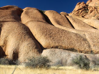 Mahango – Naturerlebnis in Namibia