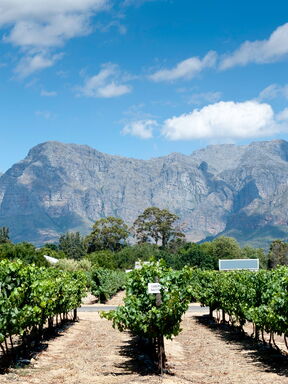 Südafrika – Wein, Wildnis und Küstenflair