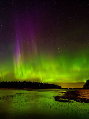 Aurora – Nordlicht-Entdeckertour im finnischen Lappland