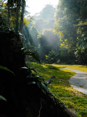 Borneo Entdeckertour – Malaysia & Brunei