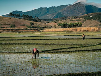 Madagaskar – Expedition ins verborgene Makay-Gebirge