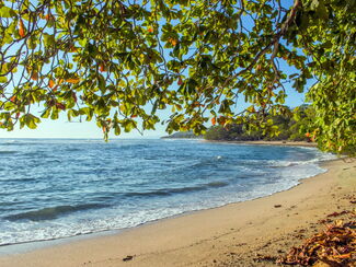 Costa Rica – tropisches Naturerlebnis im Herzen Mittelamerikas