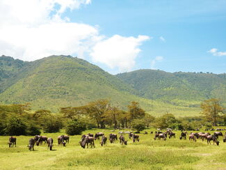 Tansania – Wildnis zwischen Kilimanjaro und Serengeti