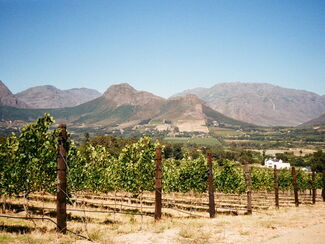 Südafrika – Wein, Küste und Wildtiere