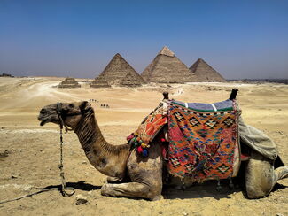 Ägypten – Wiege der Pharaonen