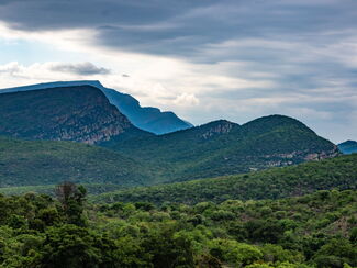 Südafrika & Eswatini – Faszination Berge, Tierwelt und Kultur