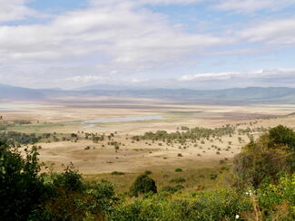 Tansania – Naturerlebnis zwischen Usambara und Kilimanjaro