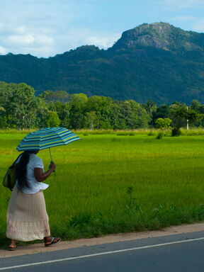 Sri Lanka – tropisches Inselparadies