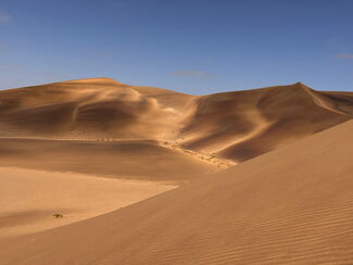Namibia – vom Etosha-Nationalpark zum Fish River Canyon