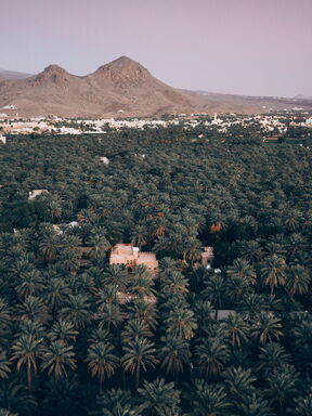 Wahiba – Wüstenzauber, Berge und Küste Oman