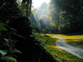 Borneo Entdeckertour – Malaysia & Brunei