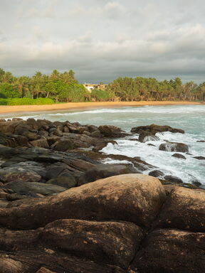 Sri Lanka – Duft und Kultur im Ceylon-Teeland