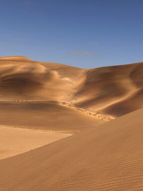 Namibia – vom Etosha-Nationalpark zum Fish River Canyon