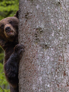 Estland PUR – Wilde Schönheit im Baltikum