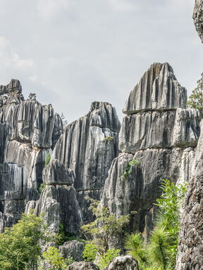 Madagaskar – Baobab‑Allee, Tsingy und Lemuren