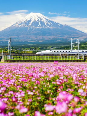 Japans Höhepunkte