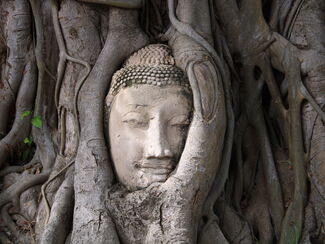 Thailand – Kultur, Natur und Genuss von Bangkok nach Chiang Mai