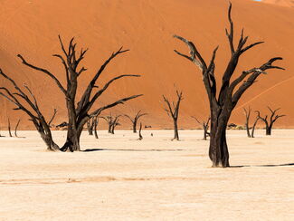 Namibia – Sossusvlei, Etosha & Swakopmund
