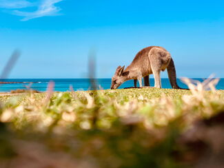 Australien ENTDECKEN – Natur und Küste zwischen Perth und Darwin