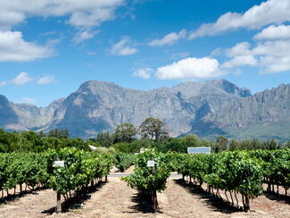 Südafrika – Wein, Wildnis und Küstenflair