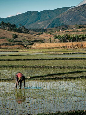 Madagaskar – Expedition ins verborgene Makay-Gebirge