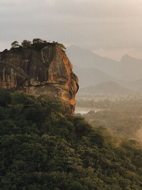 Sri Lanka – Königreiche, Teeplantagen und Tierbeobachtungen