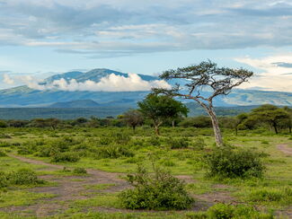 Tansania – Safari, Krater und Strandparadies