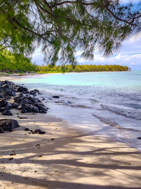 Madagaskar – Bambuslemuren und Meer