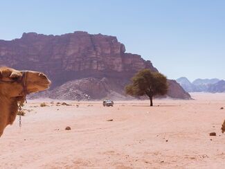 Jordanien – Nabatäerpfade und Wüstenglanz