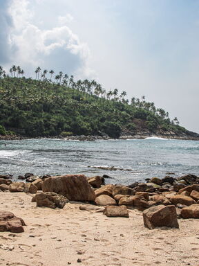 Sri Lanka – Leoparden, Tee & Küste