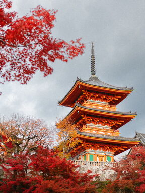 Japan – Tempel, Städte und Natur entlang der Welterbe-Route