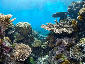 Australien ENTDECKEN – Farbenpracht von Perth bis Great Barrier Reef