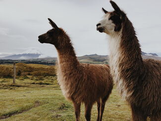 Ecuador – Natur- und Kulturschätze Südamerikas