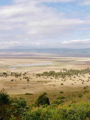 Tansania – Naturerlebnis zwischen Usambara und Kilimanjaro